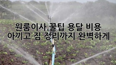 원룸이사 꿀팁🍯 용달 비용 아끼고 짐 정리까지 완벽하게!