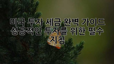 미국 투자, 세금 완벽 가이드: 성공적인 투자를 위한 필수 지침