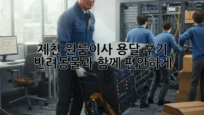 제천 원룸이사 용달 후기: 반려동물과 함께 편안하게!